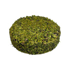 Torta al Pistacchio