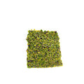Pistacchi granella grossa