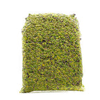 Pistacchi granella grossa